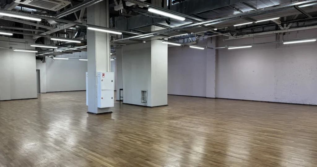Большой зал (245 м²)
