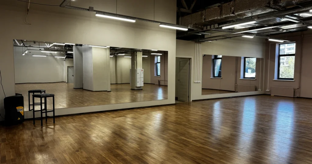 Большой зал (245 м²)