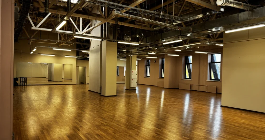 Большой зал (245 м²)